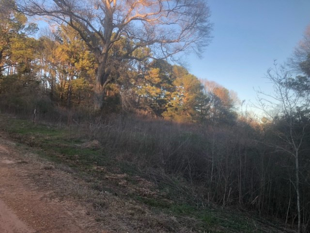 Tbd Tbd Integrity Road McComb, MS 39648 - Photo 5 of 5 Photo 5