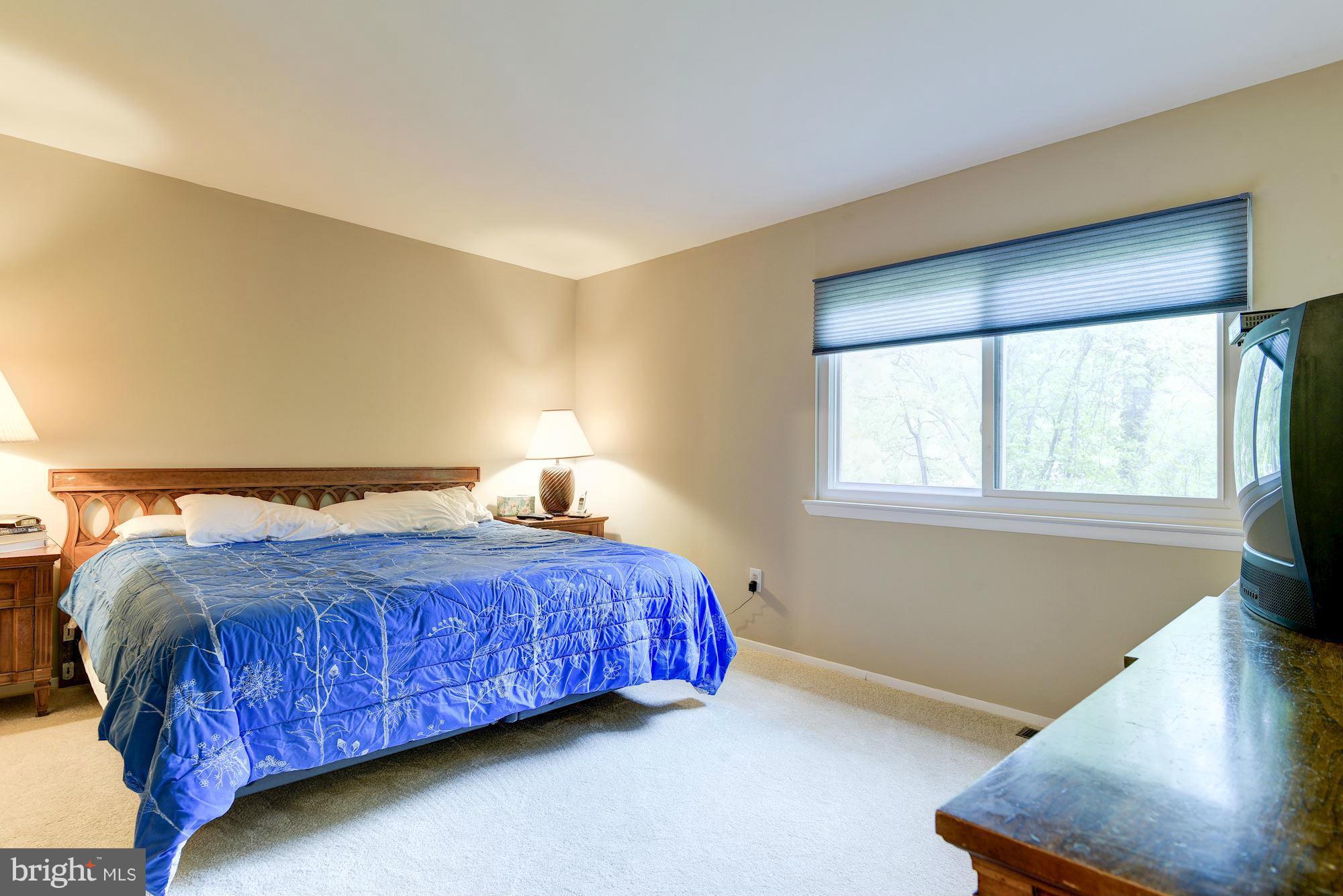 12904 Buccaneer Road Silver Spring, MD 20904 - Photo 21 of 30 Bedroom (Master)