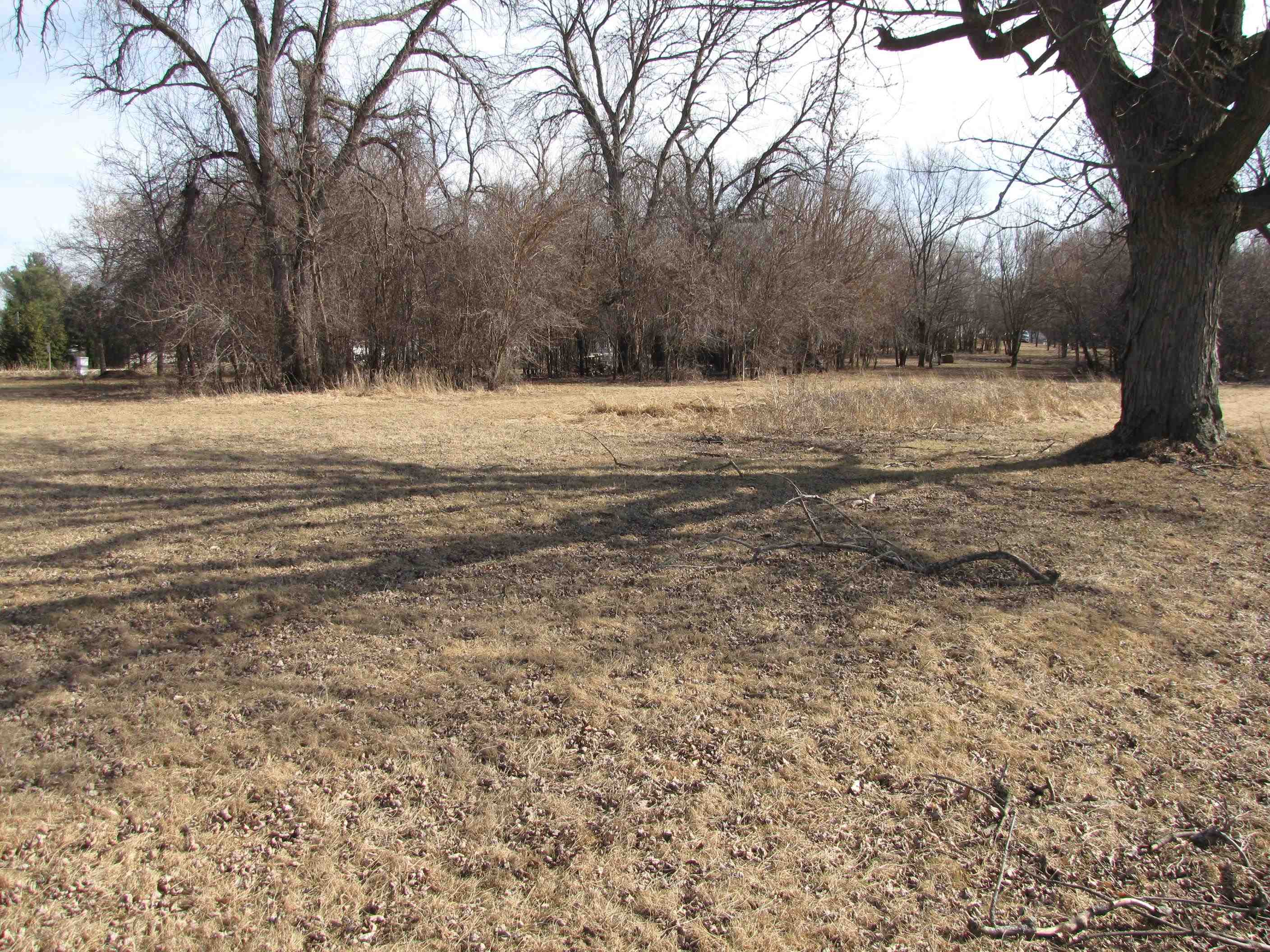 Lot 5 North Elm Edgerton, WI 53534 - Photo 11 of 12