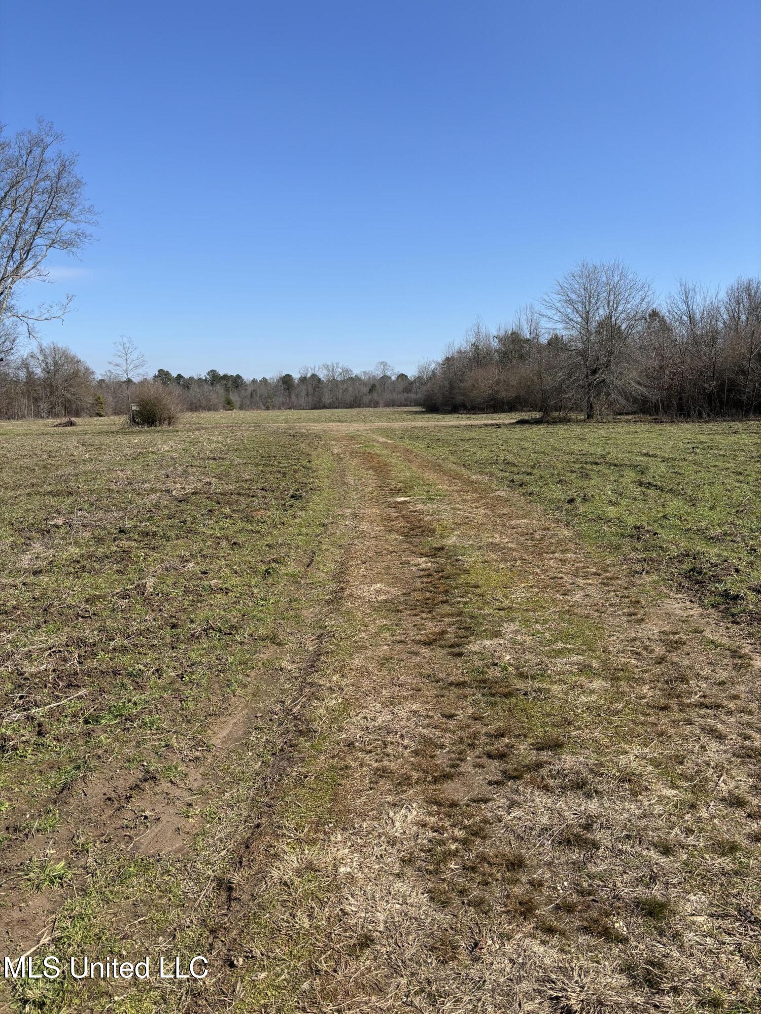 Lee Bass Road Pinola, MS 39149 - Photo 7 of 14 IMG_3473