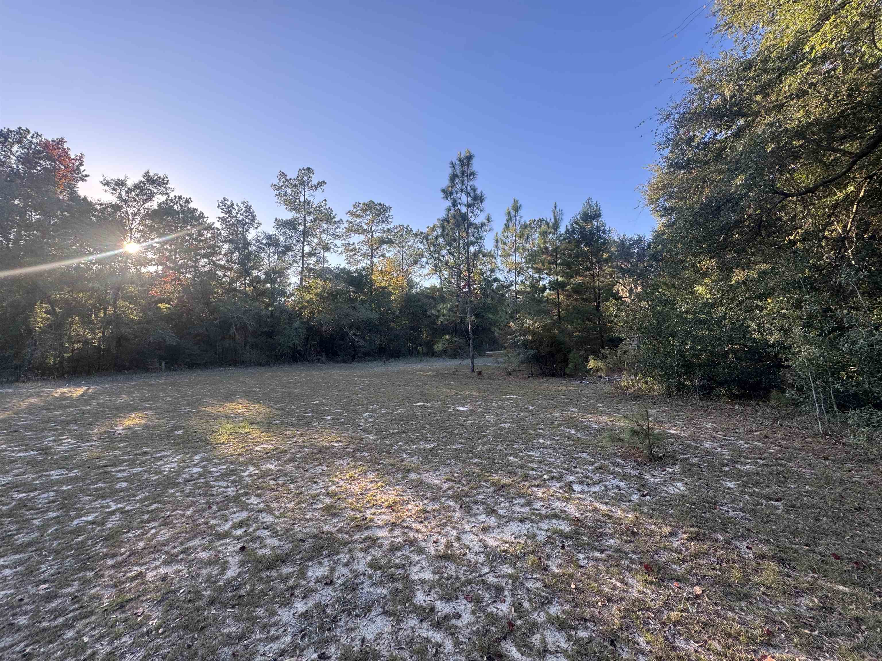 153 Davidson Street Quincy, FL 32351 - Photo 4 of 11