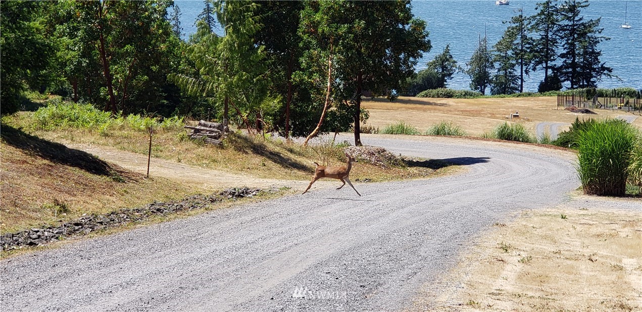 -nhn Rum Runner Road Lopez Island, WA 98261 - Photo 14 of 25 Gallery Image 14
