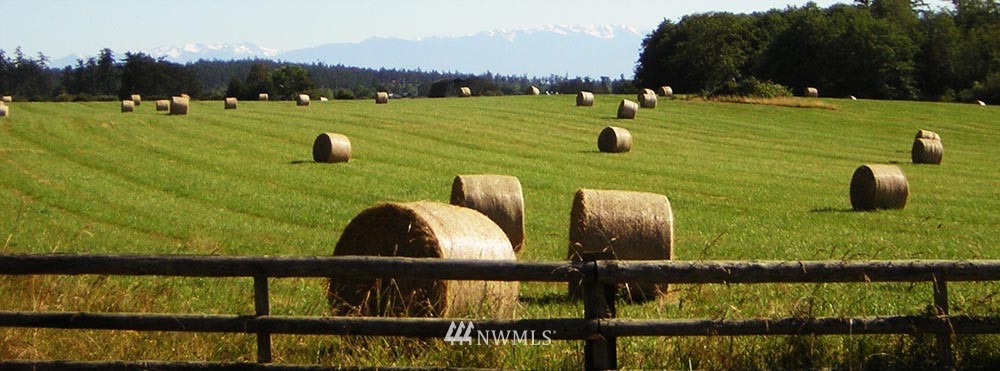 -nhn Rum Runner Road Lopez Island, WA 98261 - Photo 22 of 25 Gallery Image 22