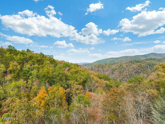 4729 Riversong Way Sevierville, TN 37876 - Photo 3 of 24 3 19569-6182d33688baf