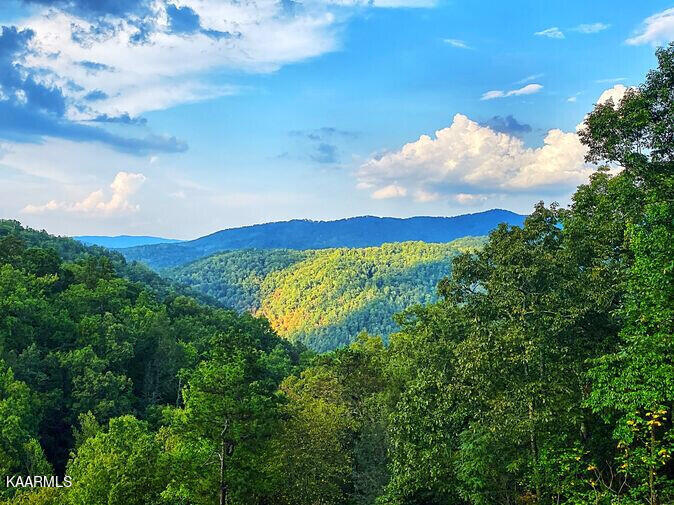 4729 Riversong Way Sevierville, TN 37876 - Photo 5 of 24 5 19569-6182d337703a6