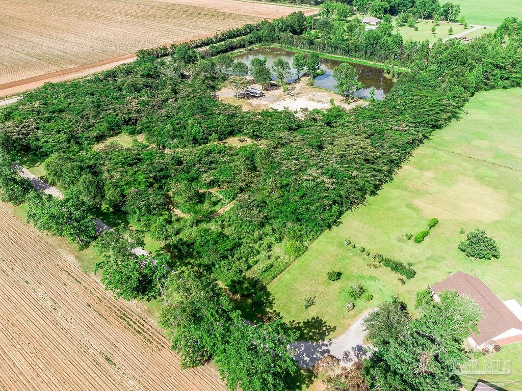 2523 Harvest Road Jay, FL 32565 - Photo 13 of 42