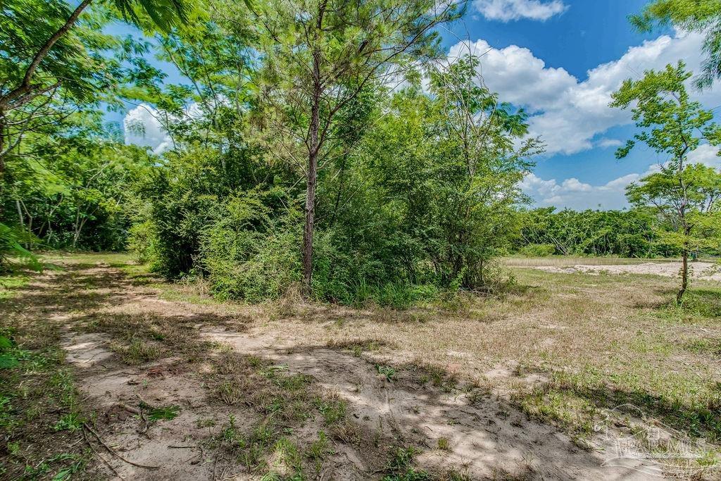 2523 Harvest Road Jay, FL 32565 - Photo 18 of 42