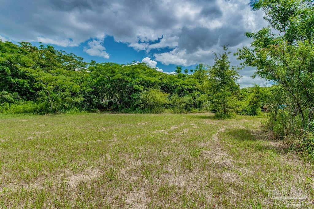 2523 Harvest Road Jay, FL 32565 - Photo 3 of 42