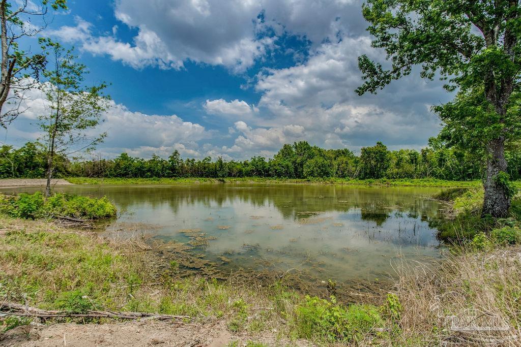 2523 Harvest Road Jay, FL 32565 - Photo 29 of 42