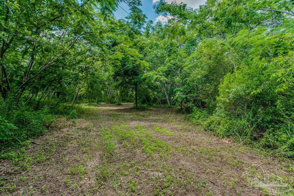 2523 Harvest Road Jay, FL 32565 - Photo 33 of 42