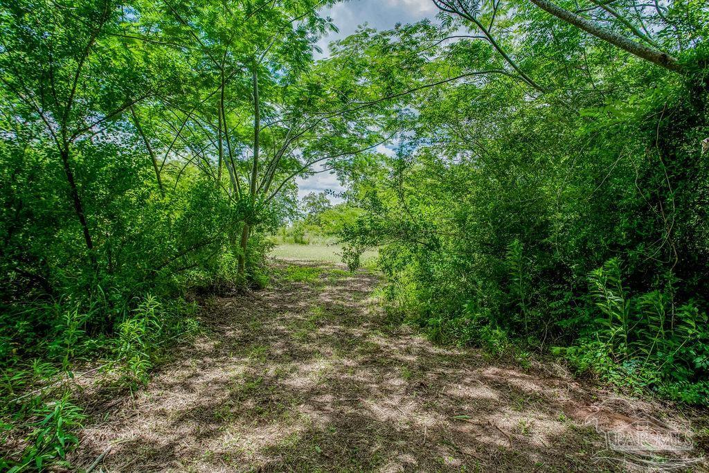 2523 Harvest Road Jay, FL 32565 - Photo 34 of 42