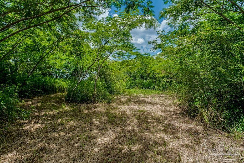 2523 Harvest Road Jay, FL 32565 - Photo 36 of 42
