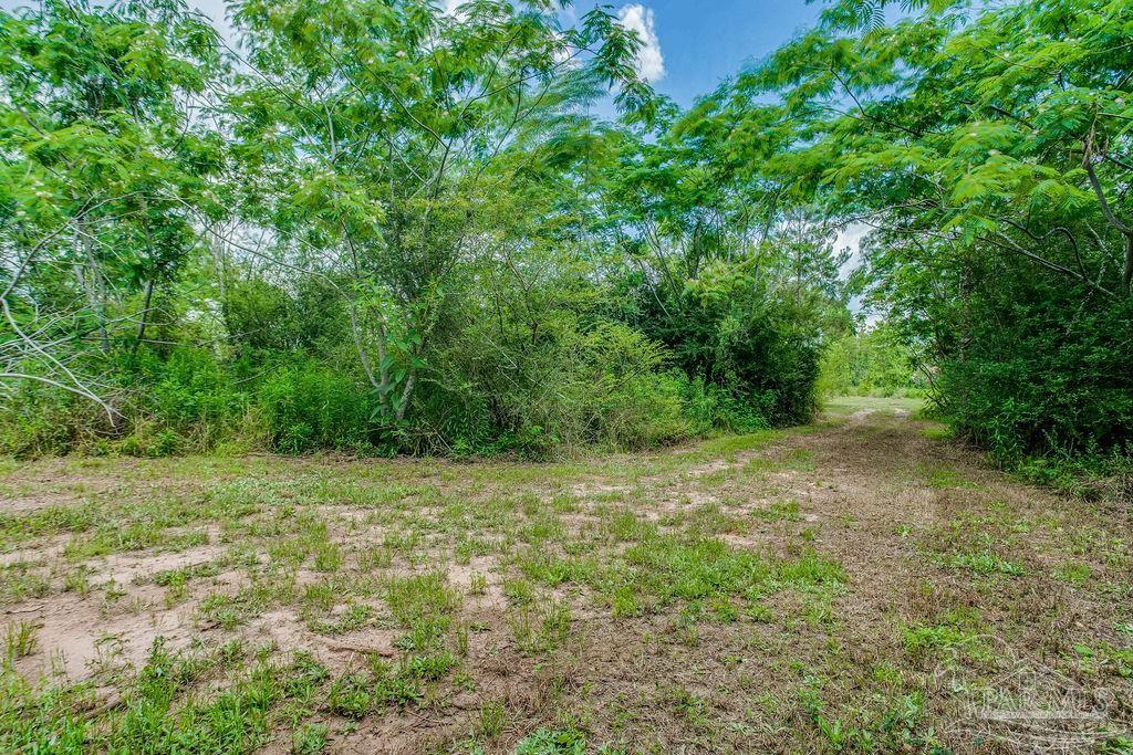 2523 Harvest Road Jay, FL 32565 - Photo 39 of 42