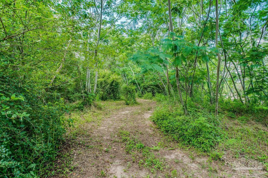 2523 Harvest Road Jay, FL 32565 - Photo 41 of 42