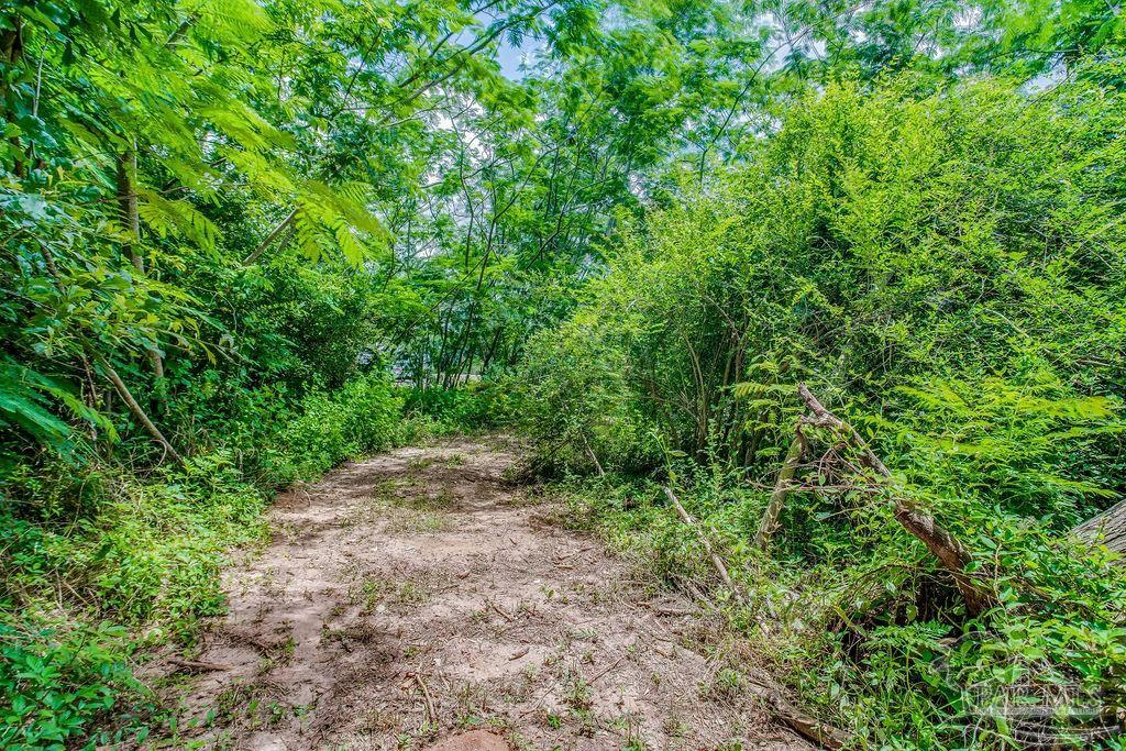 2523 Harvest Road Jay, FL 32565 - Photo 42 of 42