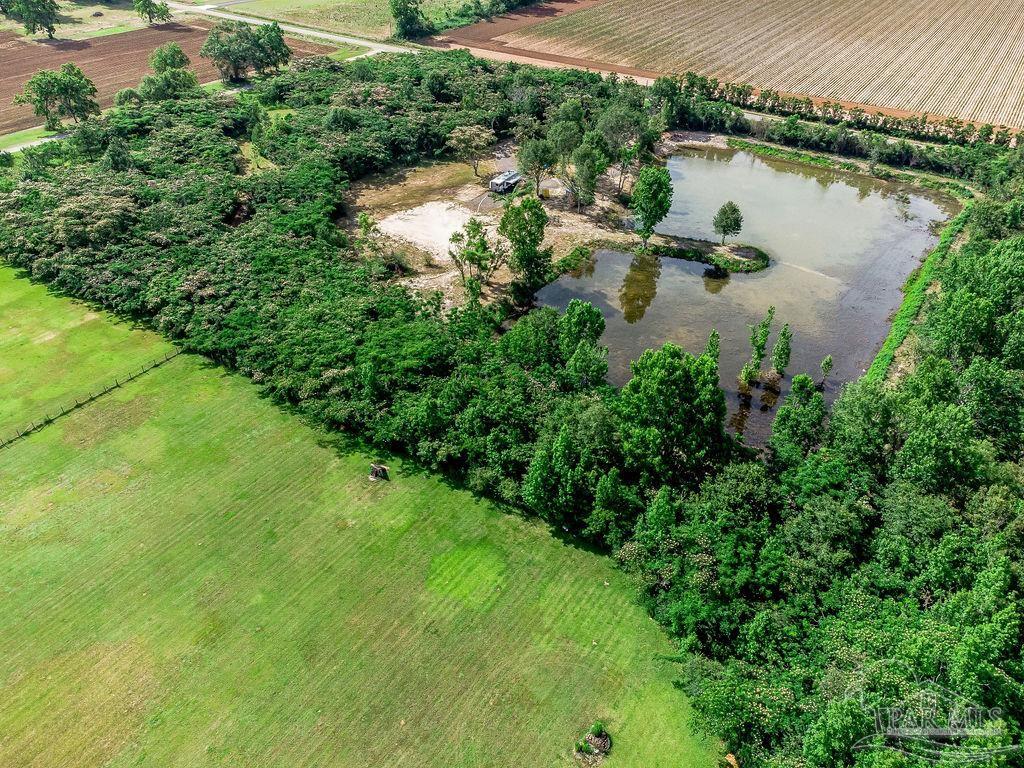 2523 Harvest Road Jay, FL 32565 - Photo 9 of 42