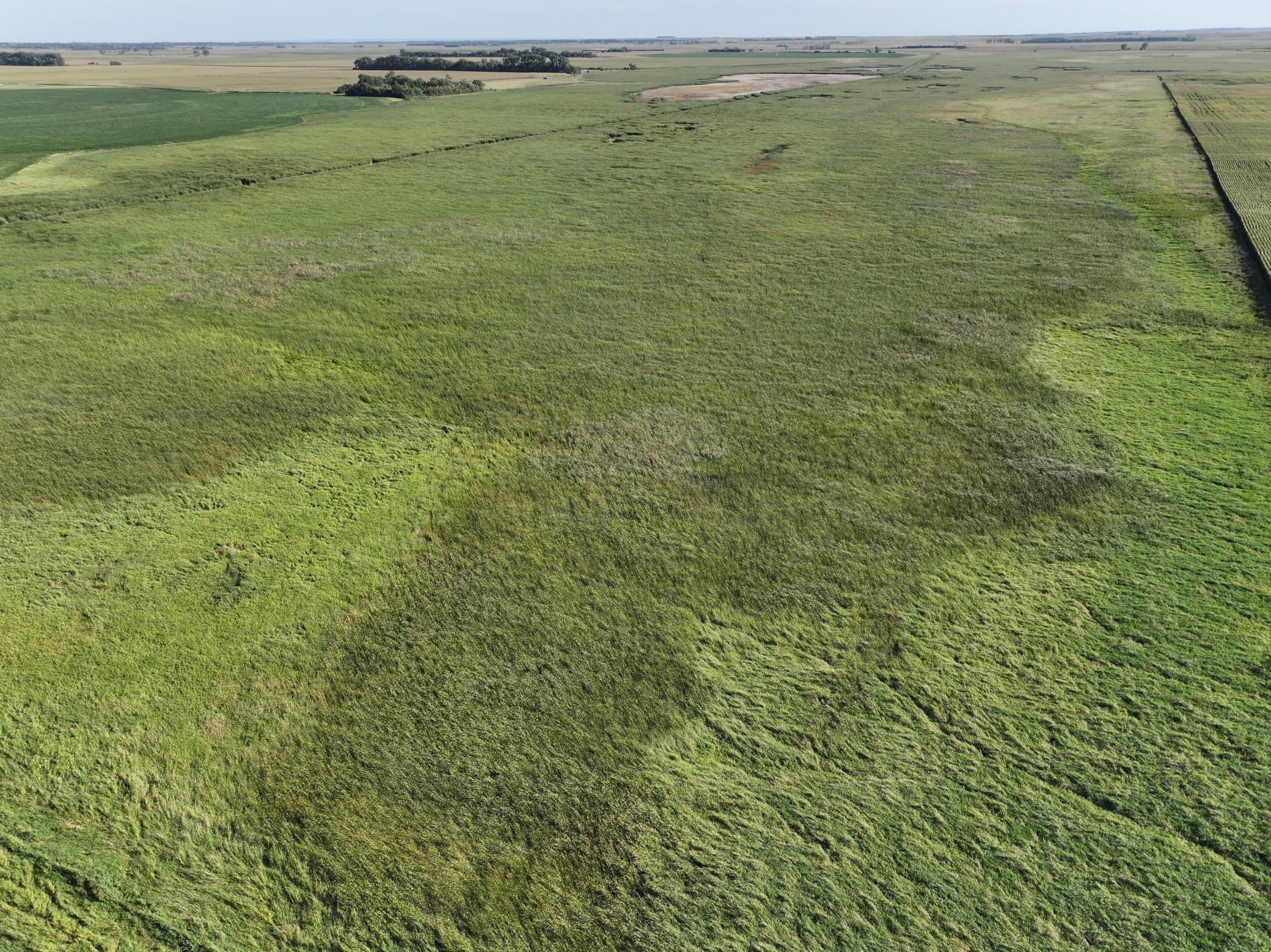 13 State Rte 13 Stirum, ND 58069 - Photo 21 of 31 Gallery Image 21