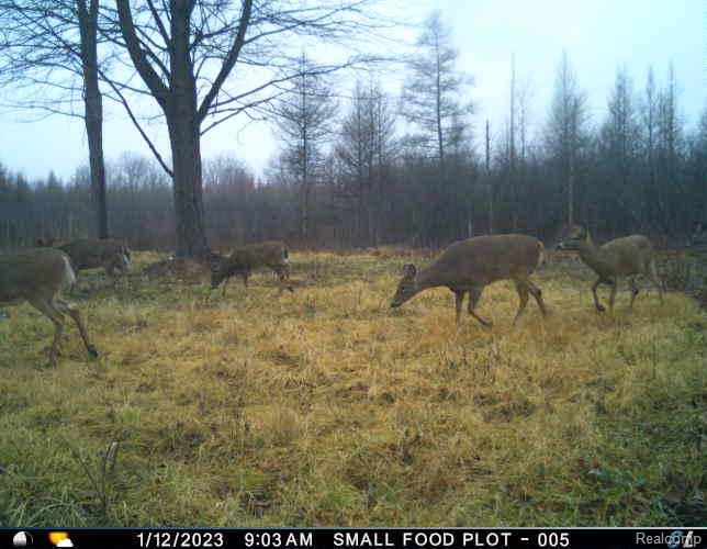 0 Ripple Way White Lake, MI 48383 - Photo 44 of 48 T_00001 1.JPG