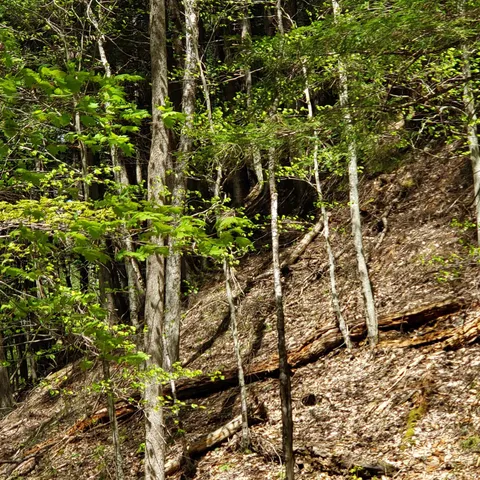 $163,575 | Tbd Waits River Road, Bradford, VT 05033