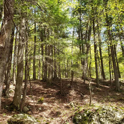 $163,575 | Tbd Waits River Road, Bradford, VT 05033