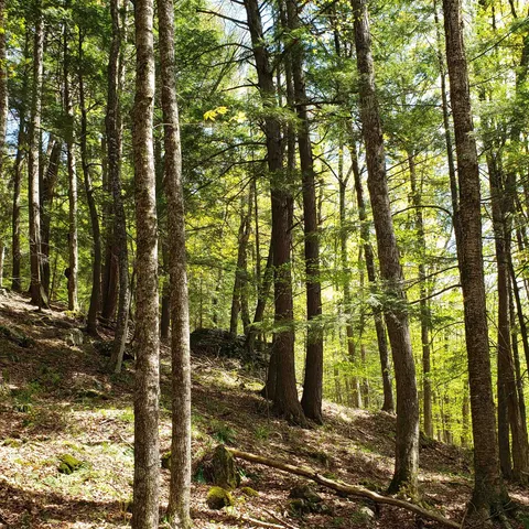 $163,575 | Tbd Waits River Road, Bradford, VT 05033