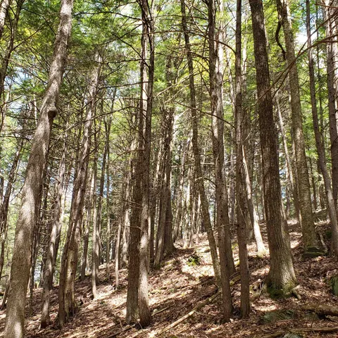 $163,575 | Tbd Waits River Road, Bradford, VT 05033