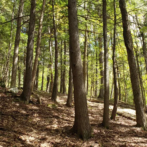 $163,575 | Tbd Waits River Road, Bradford, VT 05033