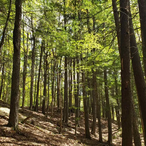 $163,575 | Tbd Waits River Road, Bradford, VT 05033