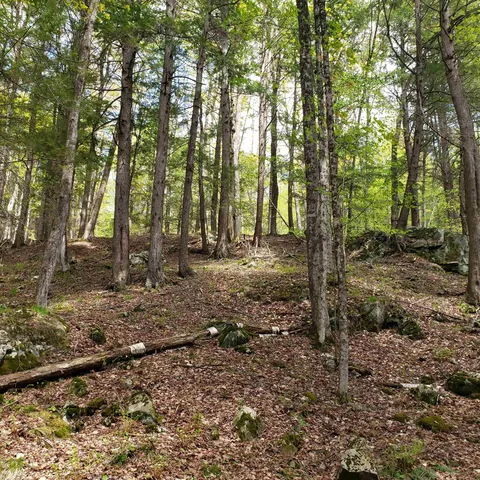 $163,575 | Tbd Waits River Road, Bradford, VT 05033