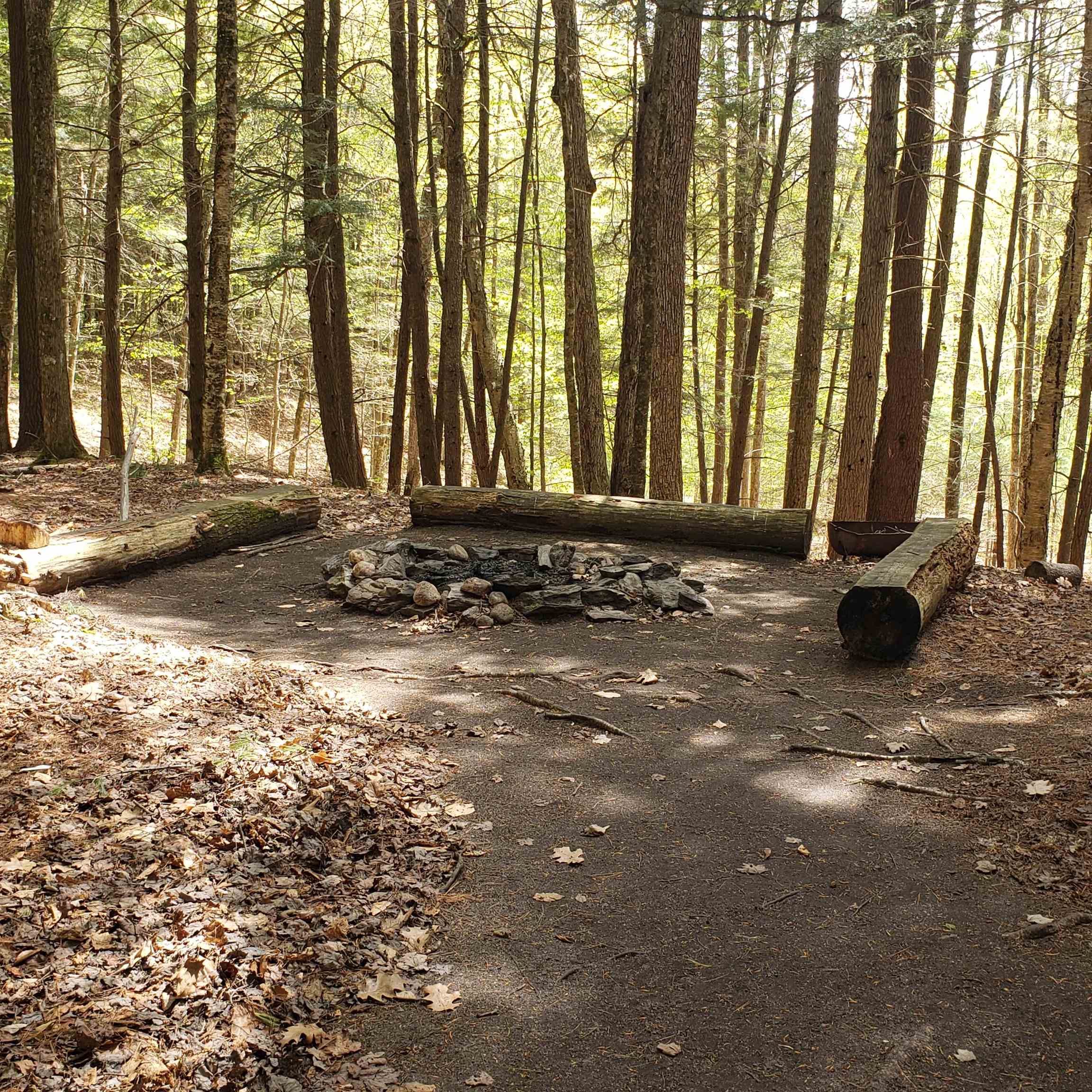 Tbd Waits River Road Bradford, VT 05033 - Photo 5 of 25