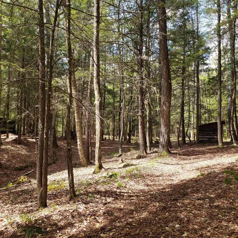 $163,575 | Tbd Waits River Road, Bradford, VT 05033