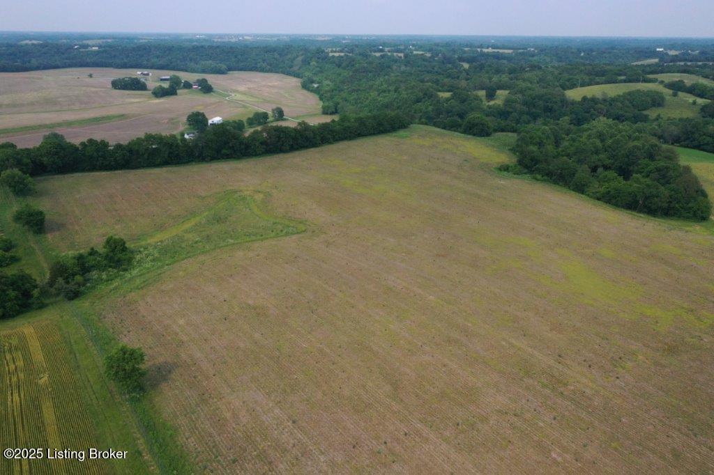 10001 Bloomfield Road Springfield, KY 40069 - Photo 8 of 19 DJI_0307