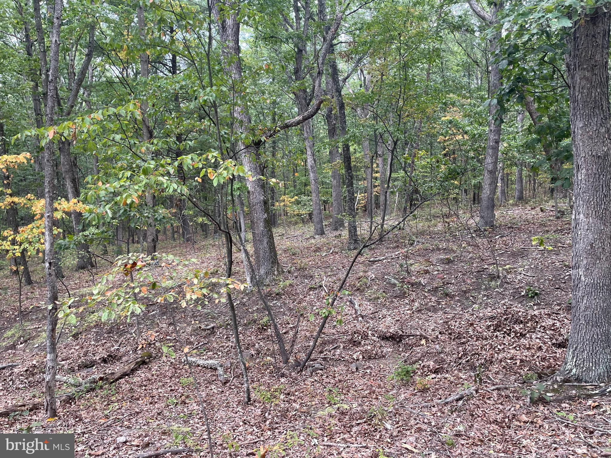 17 Section D Lake Springfield, WV 26763 - Photo 4 of 12 Gallery Image 4