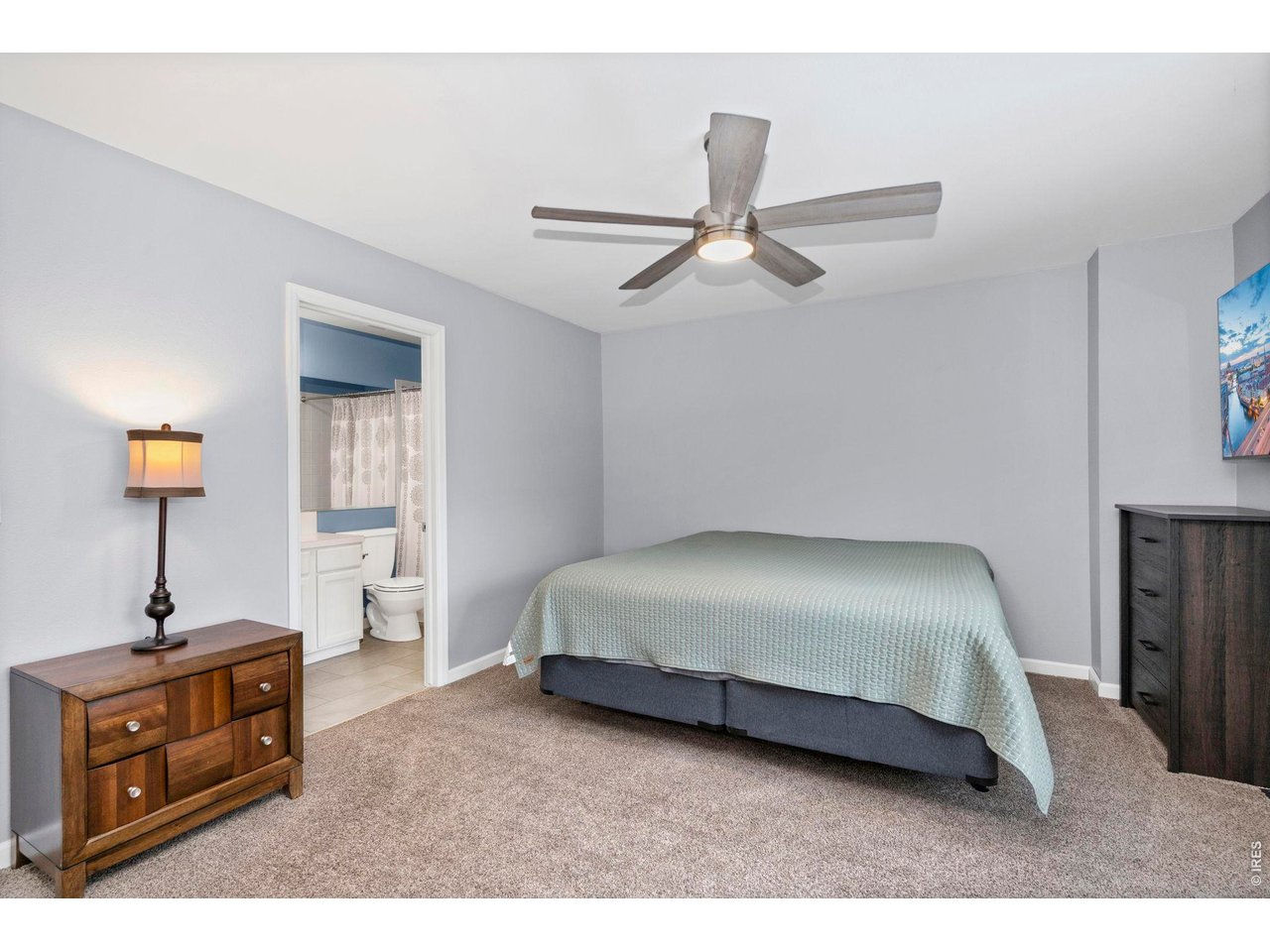 806 Hill Pond Road Fort Collins, CO 80526 - Photo 16 of 30