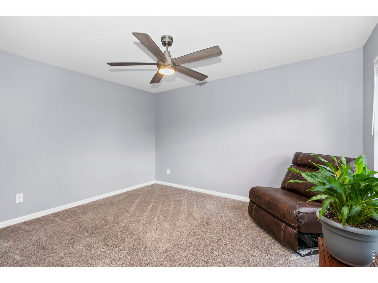 806 Hill Pond Road Fort Collins, CO 80526 - Photo 21 of 30