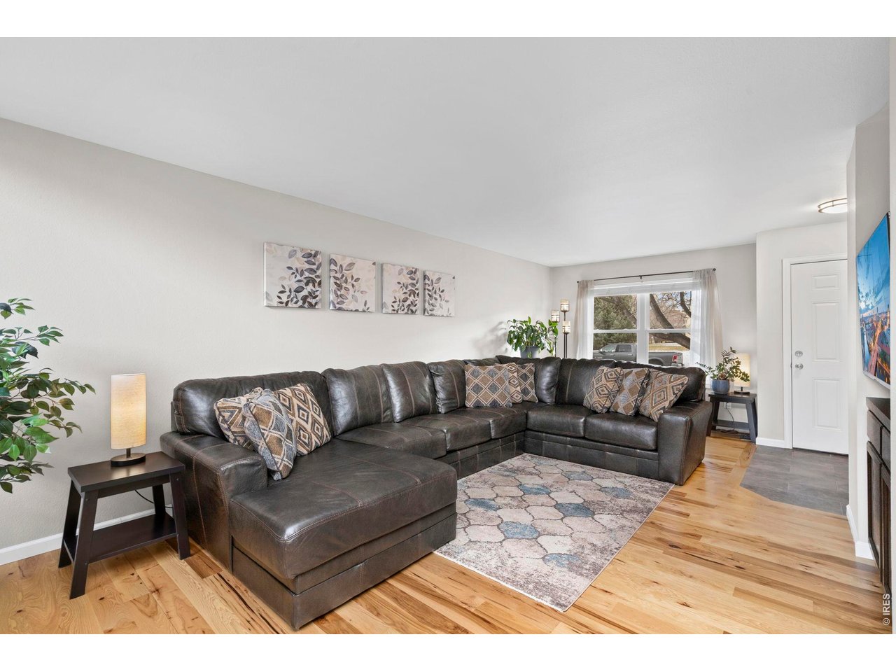 806 Hill Pond Road Fort Collins, CO 80526 - Photo 4 of 30