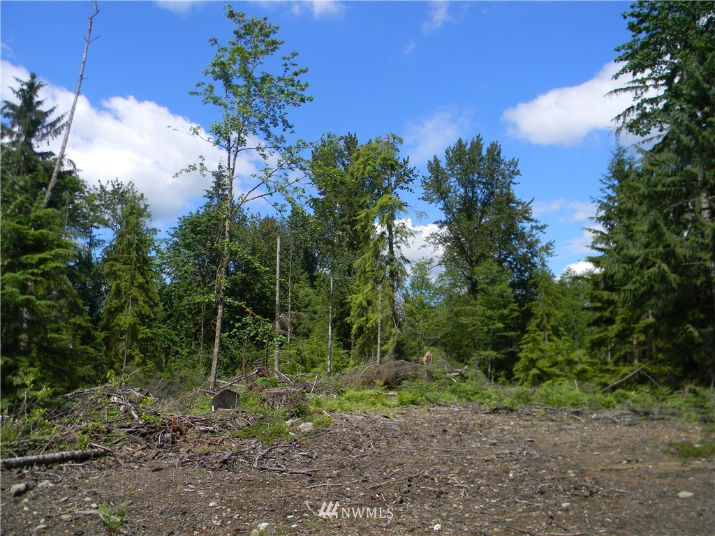 -120xx Ingraham Road Snohomish, WA 98290 - Photo 1 of 15