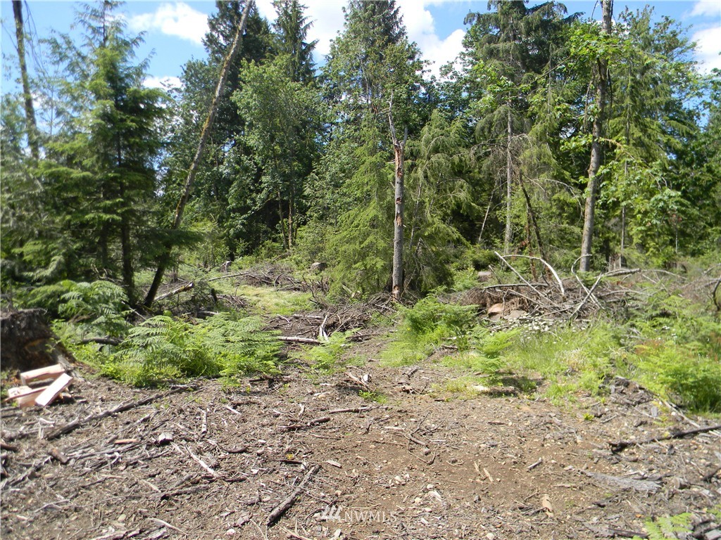 -120xx Ingraham Road Snohomish, WA 98290 - Photo 11 of 15