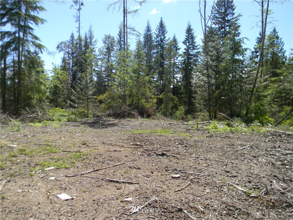 -120xx Ingraham Road Snohomish, WA 98290 - Photo 12 of 15