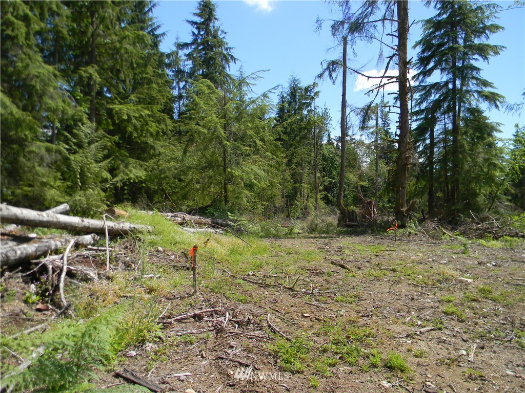 -120xx Ingraham Road Snohomish, WA 98290 - Photo 13 of 15