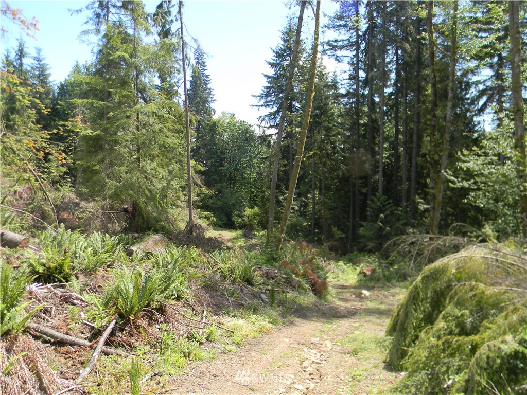 -120xx Ingraham Road Snohomish, WA 98290 - Photo 14 of 15