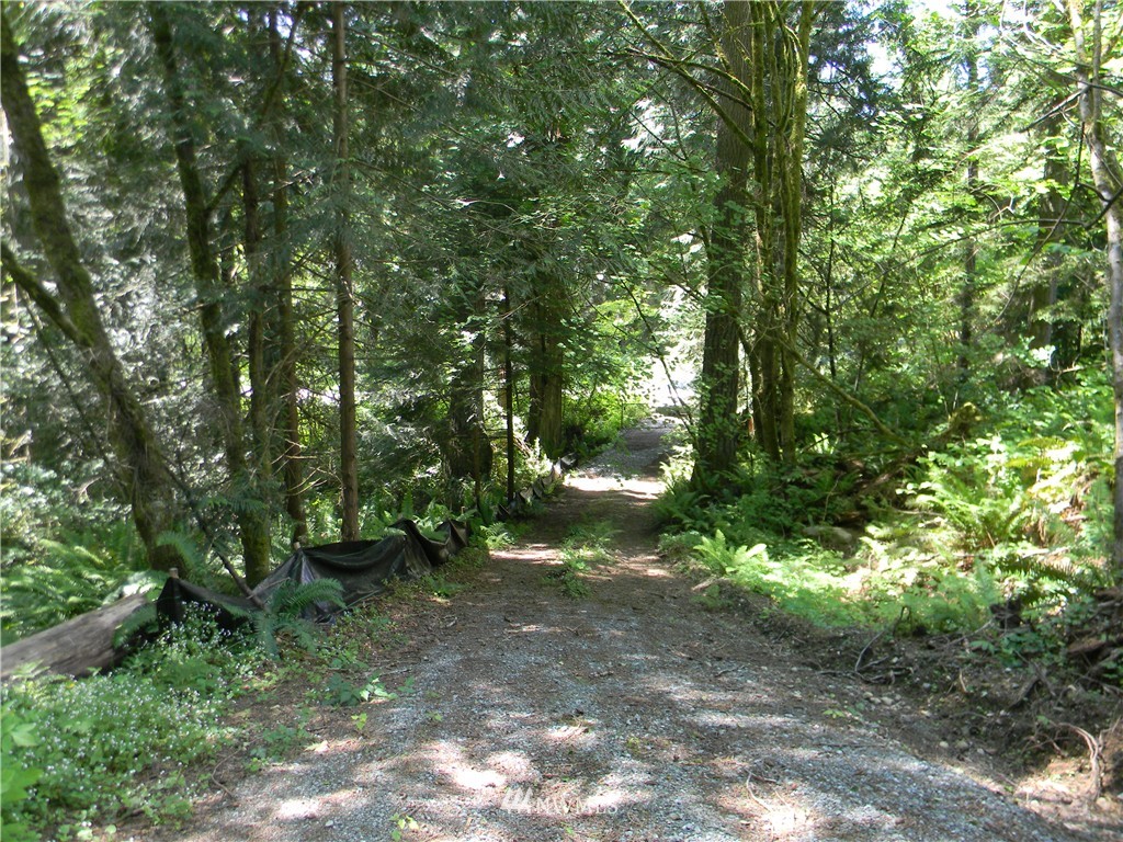 -120xx Ingraham Road Snohomish, WA 98290 - Photo 3 of 15