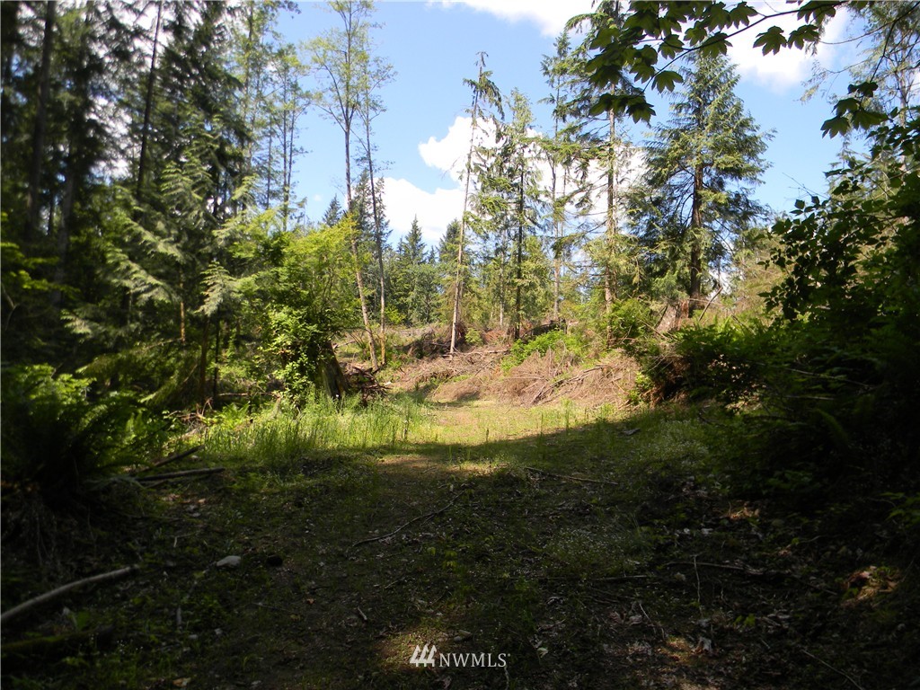 -120xx Ingraham Road Snohomish, WA 98290 - Photo 4 of 15