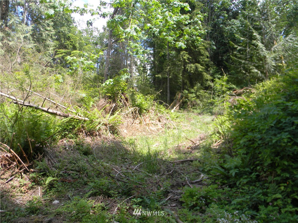 -120xx Ingraham Road Snohomish, WA 98290 - Photo 5 of 15
