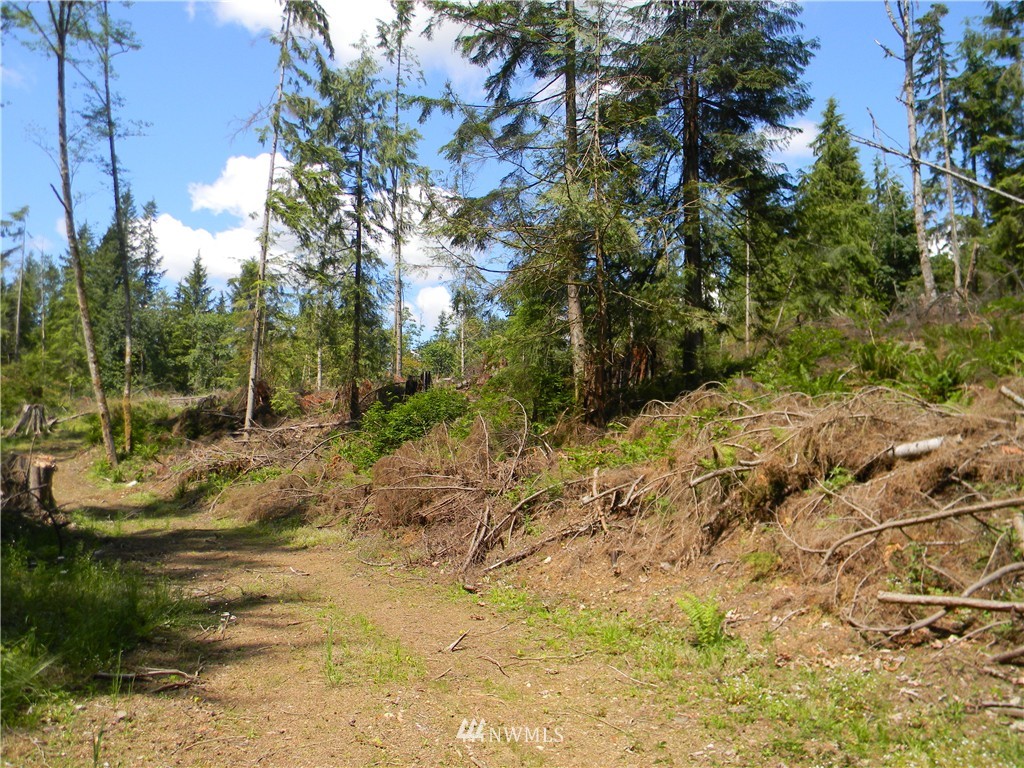-120xx Ingraham Road Snohomish, WA 98290 - Photo 6 of 15