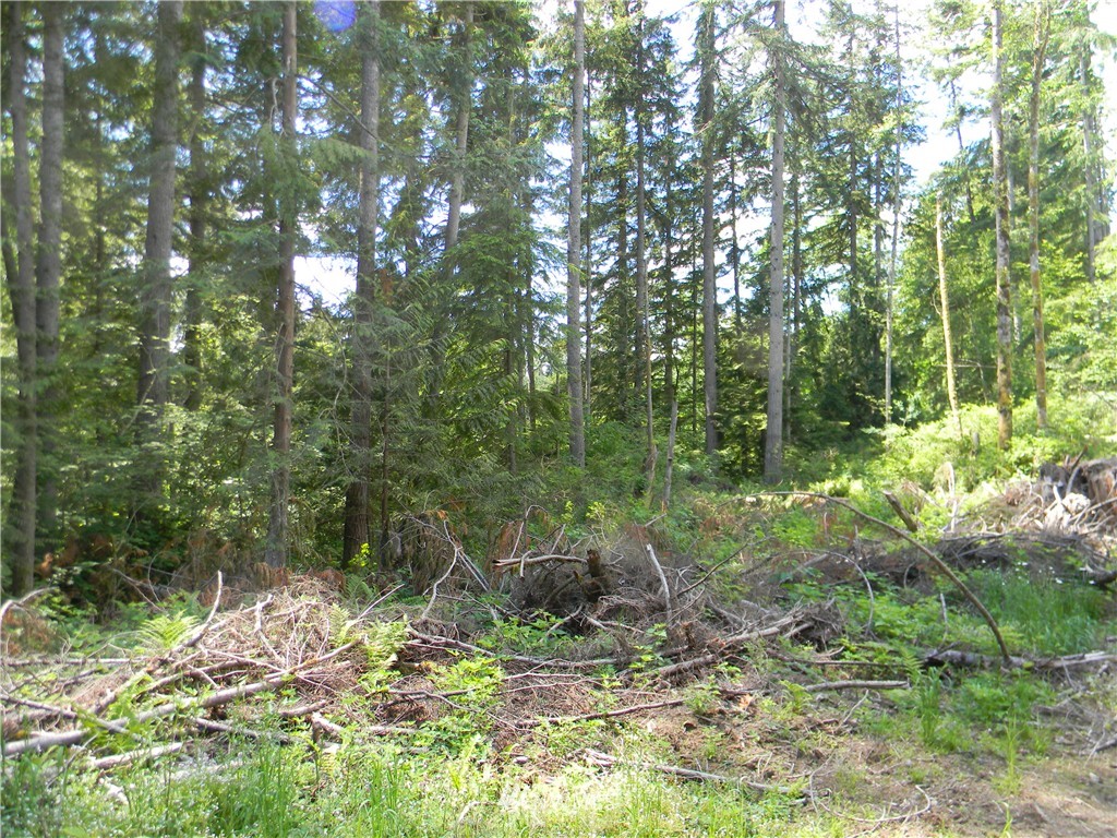 -120xx Ingraham Road Snohomish, WA 98290 - Photo 7 of 15