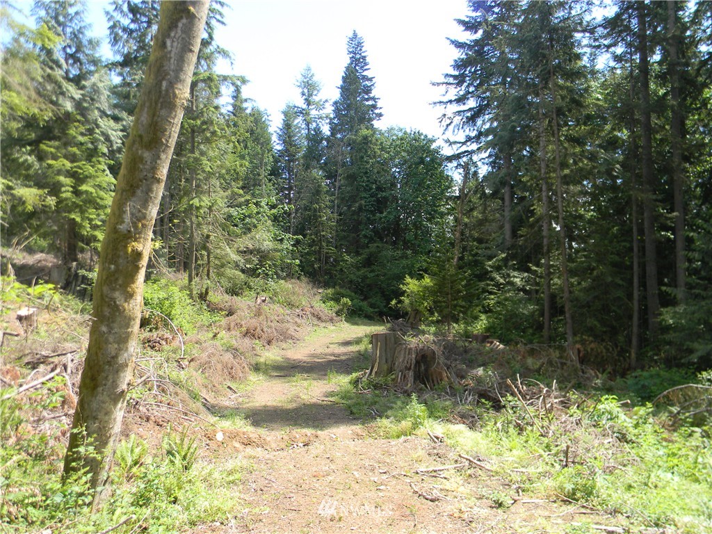 -120xx Ingraham Road Snohomish, WA 98290 - Photo 8 of 15