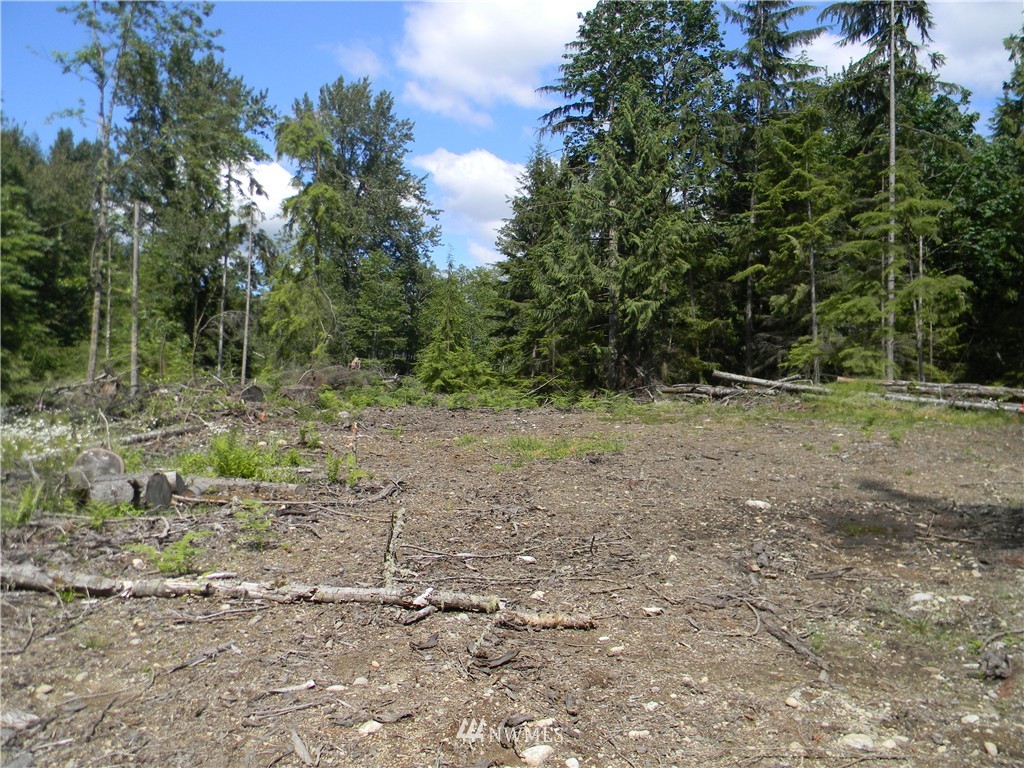 -120xx Ingraham Road Snohomish, WA 98290 - Photo 9 of 15