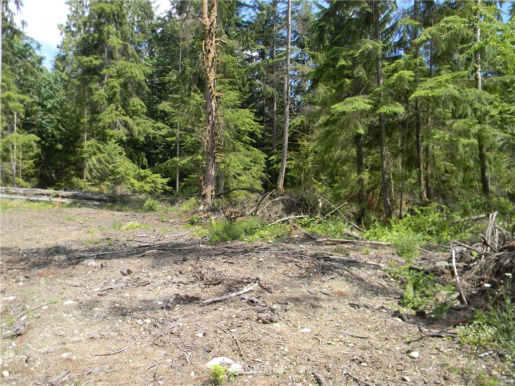 -120xx Ingraham Road Snohomish, WA 98290 - Photo 10 of 15