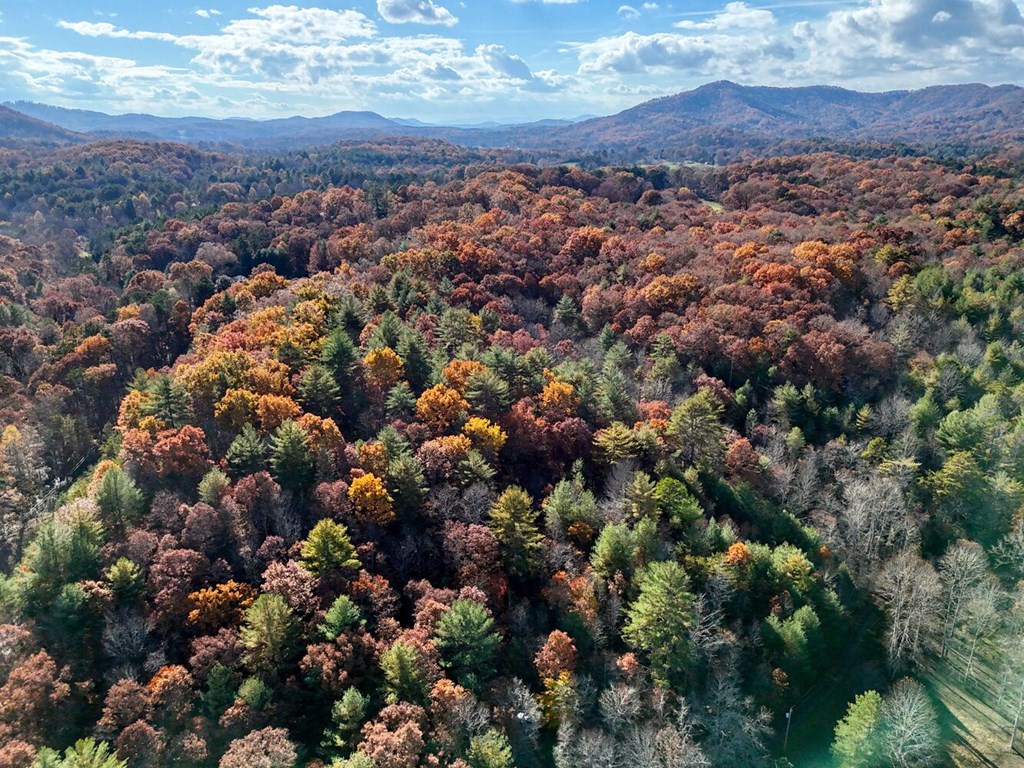 2.28-ac Midway Creek Road Murphy, NC 28906 - Photo 11 of 15